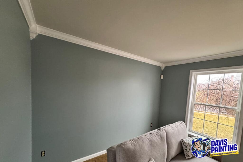 A freshly painted living room with soft blue-gray walls, white ceiling, and white crown molding highlights expert interior painting. A gray couch sits near a large window, with the "Davis Painting" logo visible in the corner.