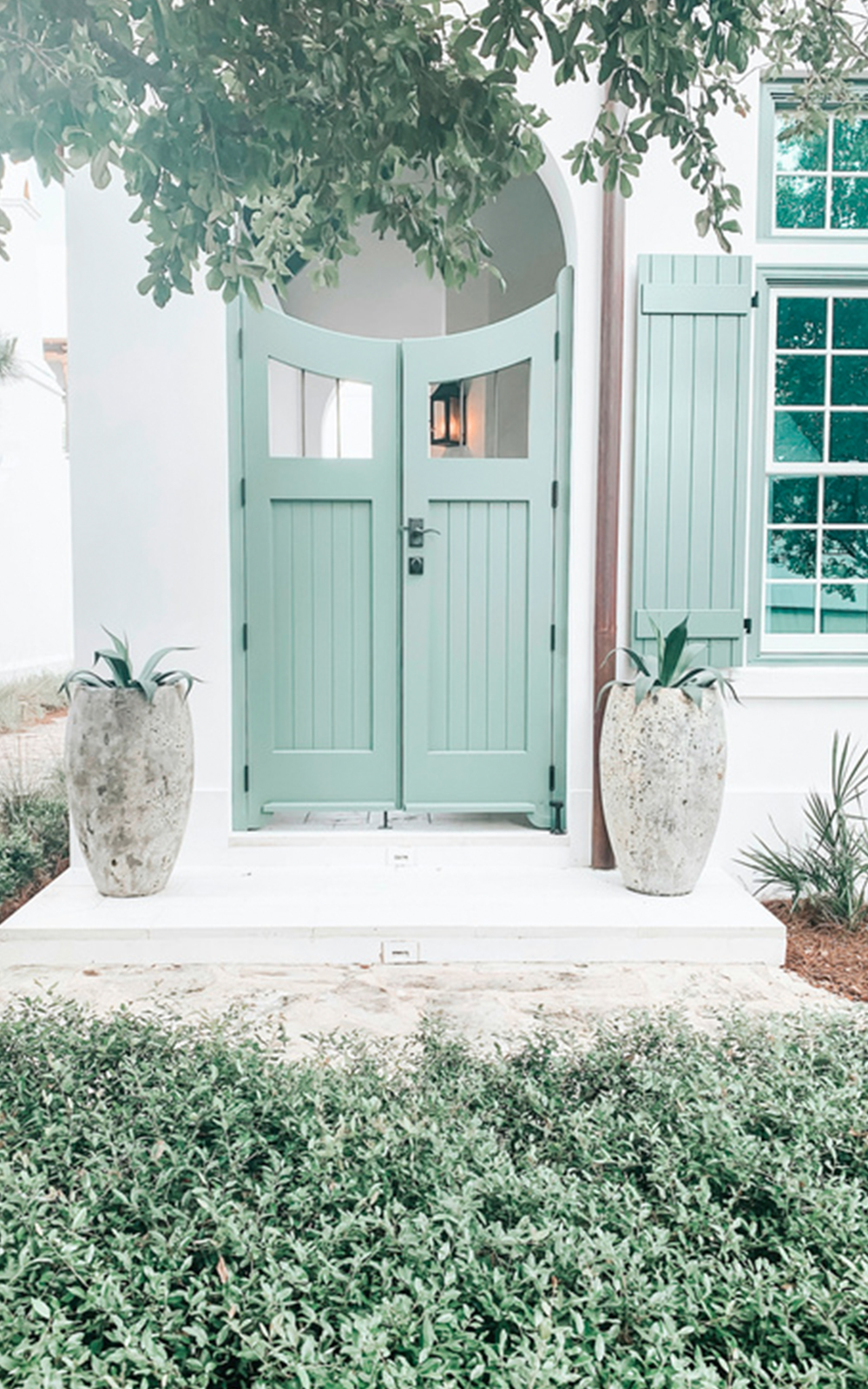 A light green Dutch door with matching shutters showcases thoughtful design, flanked by two large concrete planters with spiky plants, at the entrance of a white house surrounded by greenery.